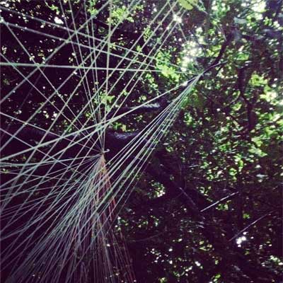 chrysalist by bread art collective